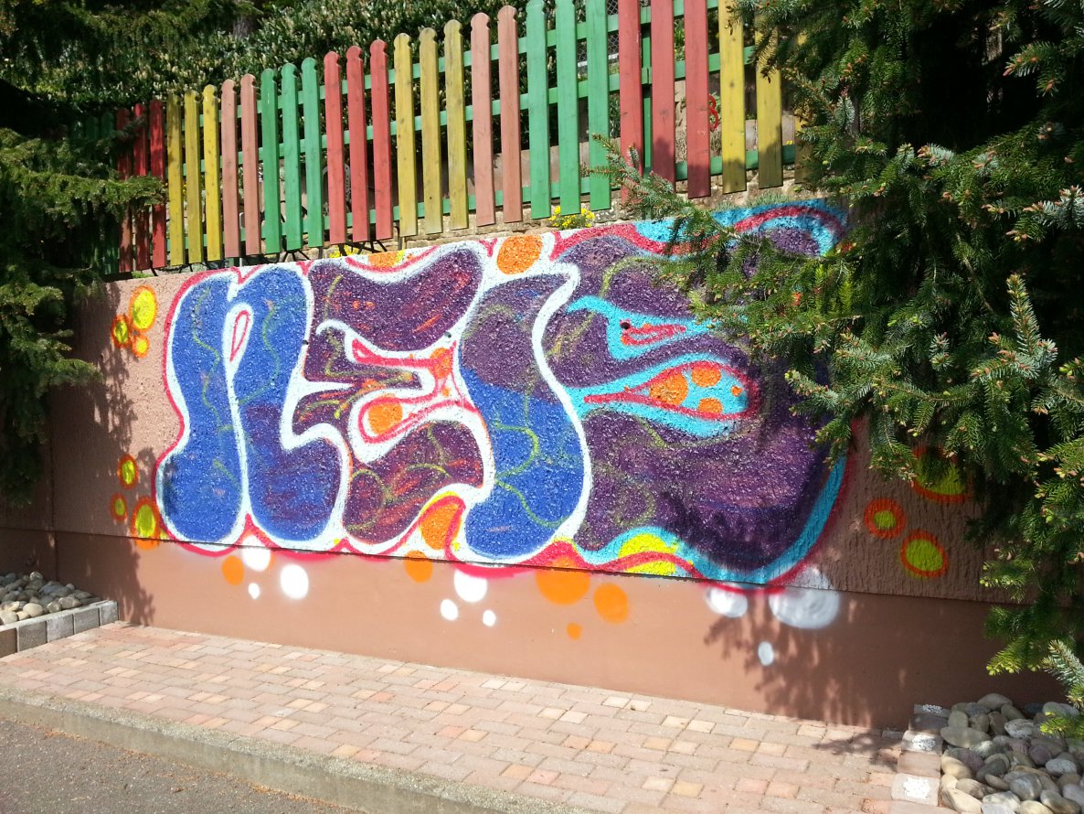 Graffiti Bombing - Photo by vaGina - NEIS