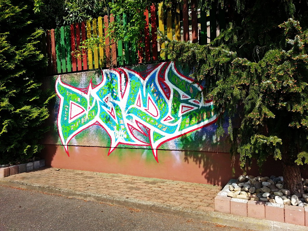 Graffiti Bombing - Photo by vaGina - CEMB