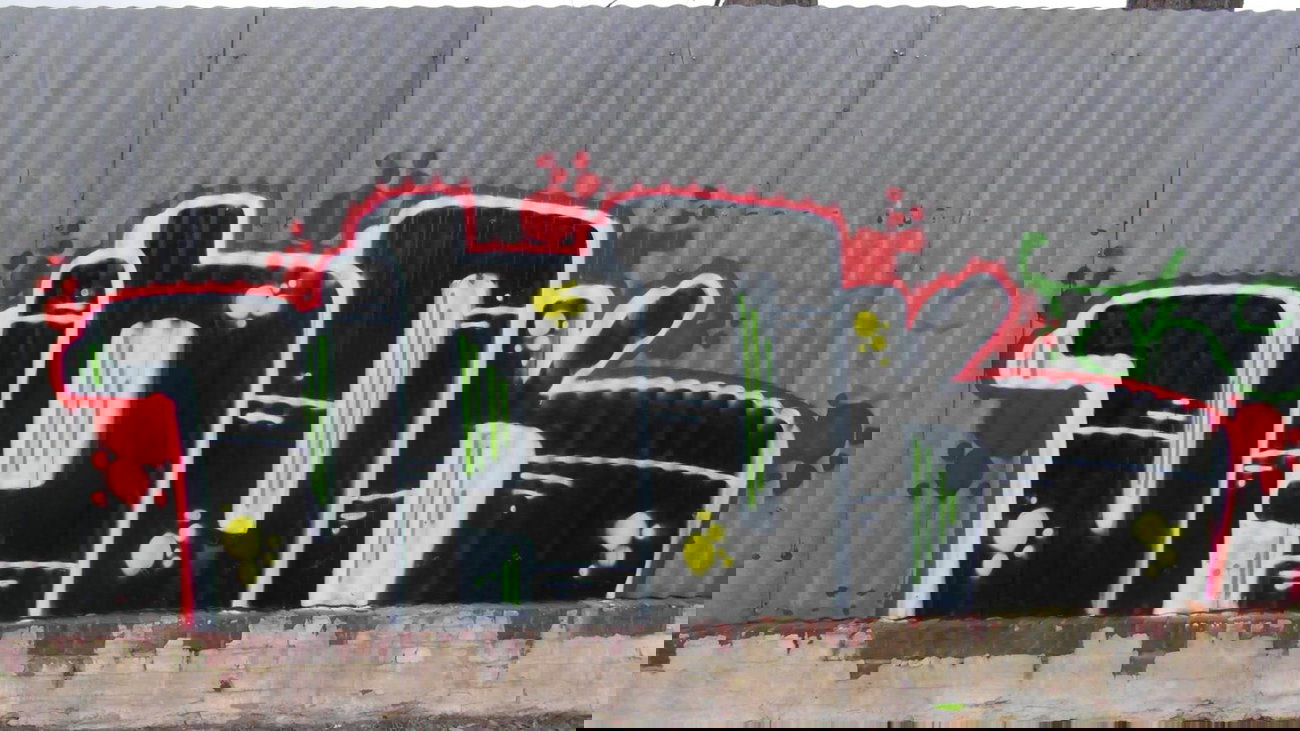 Graffiti Bombing - Photo by vaok