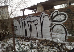 Photo #65268 by Searcher