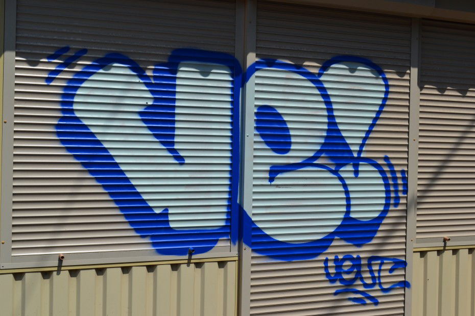 Graffiti Bombing - Photo by ventventvent