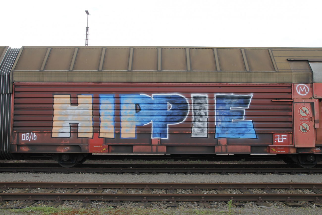 Graffiti Train in Bremen - Photo by viciousLove - hippie, eaz (2016)