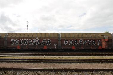 Graffiti Train in Bremen - Photo by viciousLove - yf (2016)