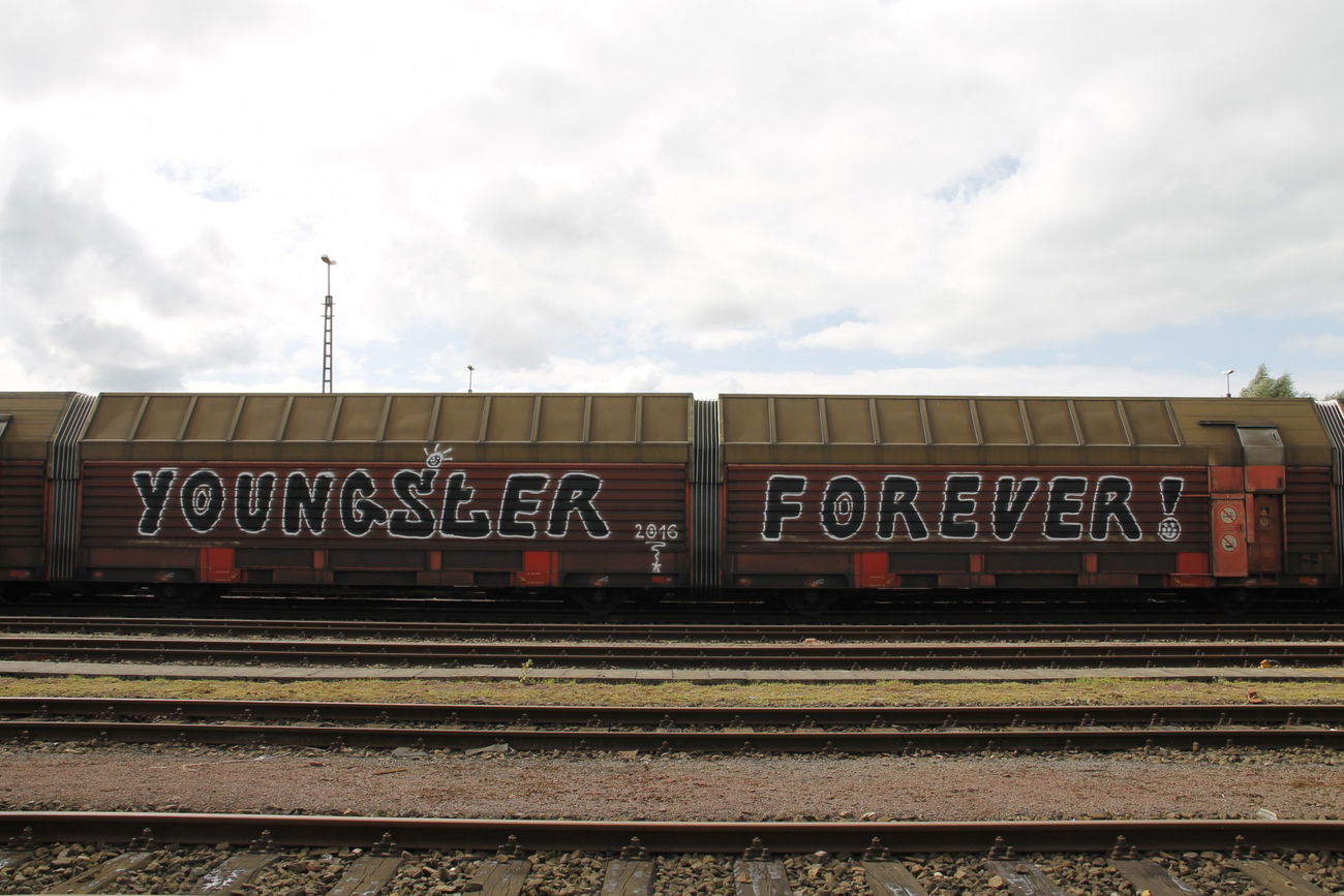 Graffiti Train in Bremen - Photo by viciousLove - yf (2016)