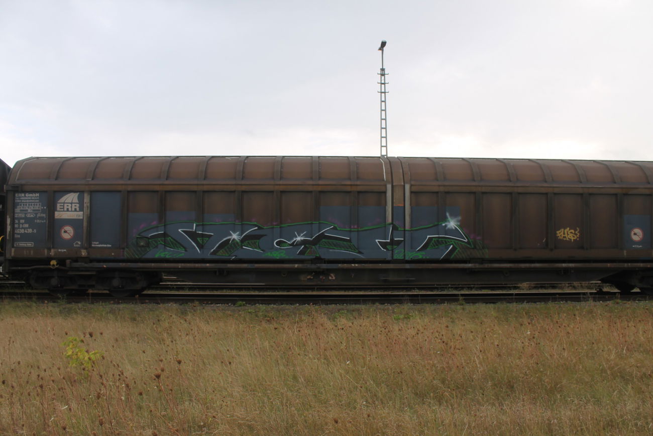 Graffiti Train in Bremen - Photo by viciousLove - vcu (2016)