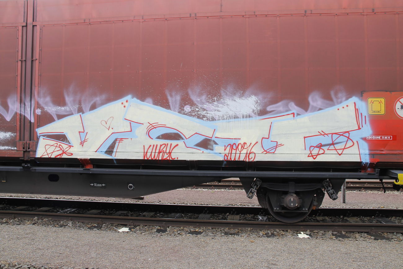 Graffiti Train in Bremen - Photo by viciousLove - vcu (2016)