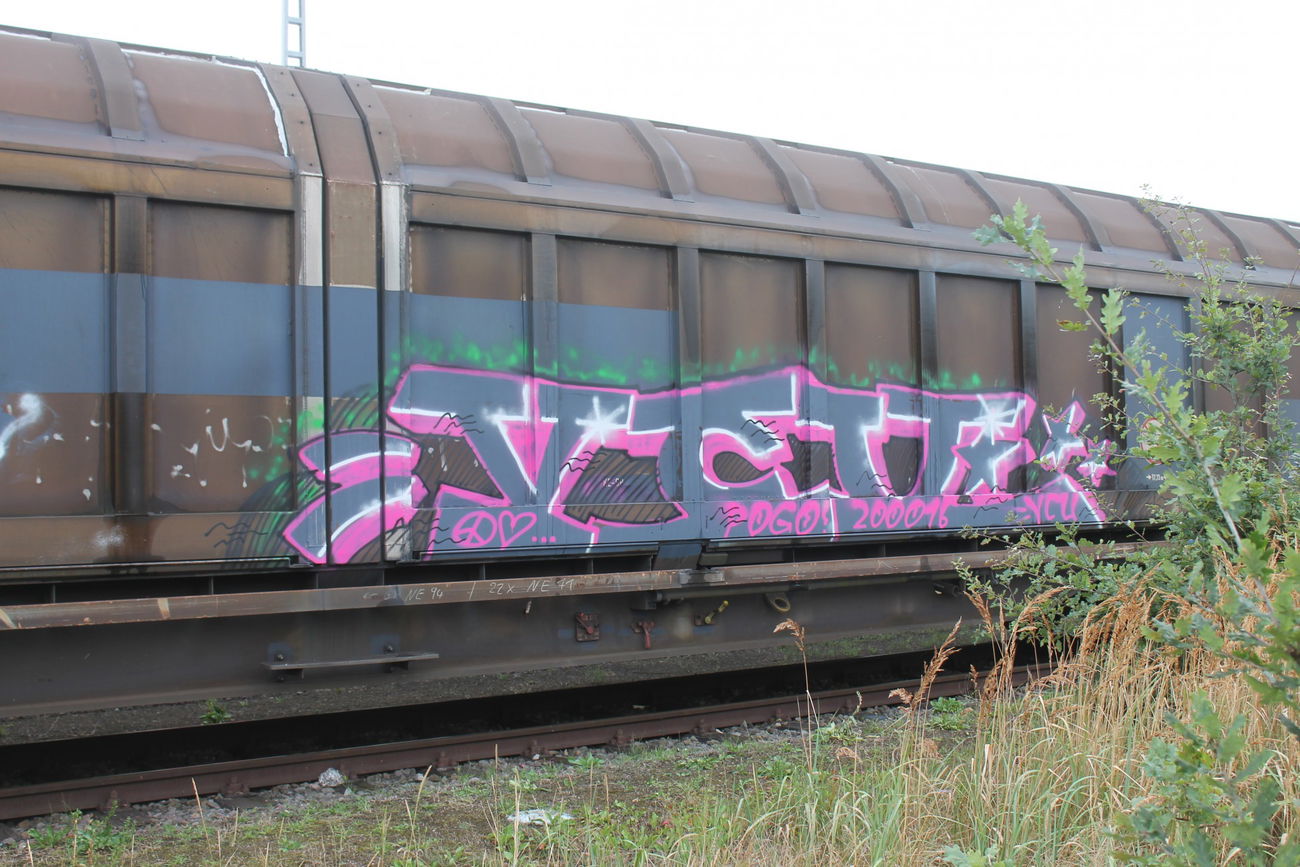 Graffiti Train in Bremen - Photo by viciousLove - vcu (2016)