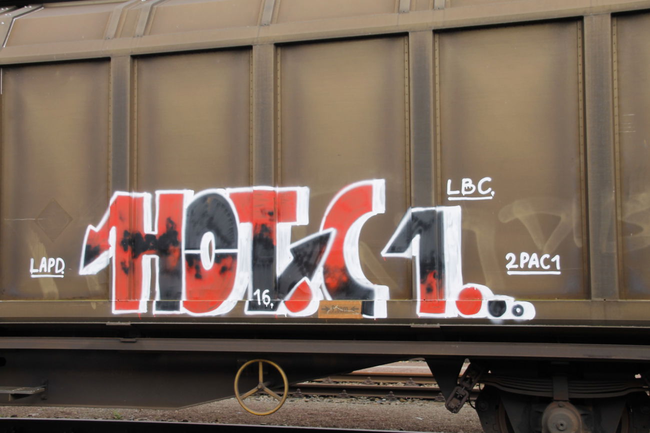 Graffiti Train in Bremen - Photo by viciousLove - hotc1, lapd (2016)