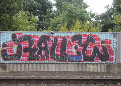 Photo #200219 by pannonian