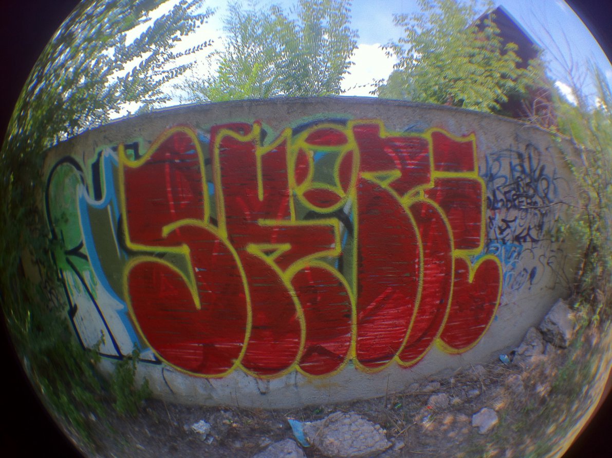 Graffiti Bombing - Photo by vitalyaskone - skone (2013)