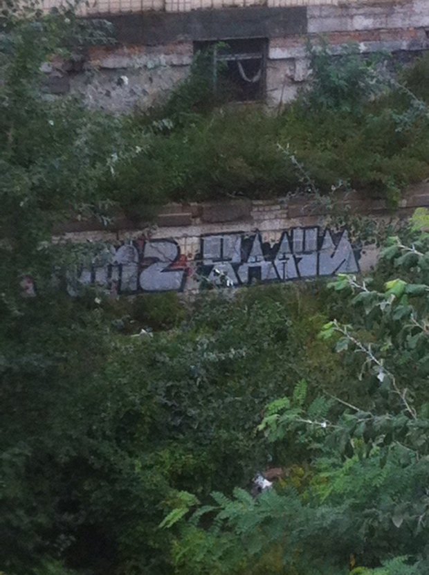 Graffiti Bombing - Photo by vitalyaskone