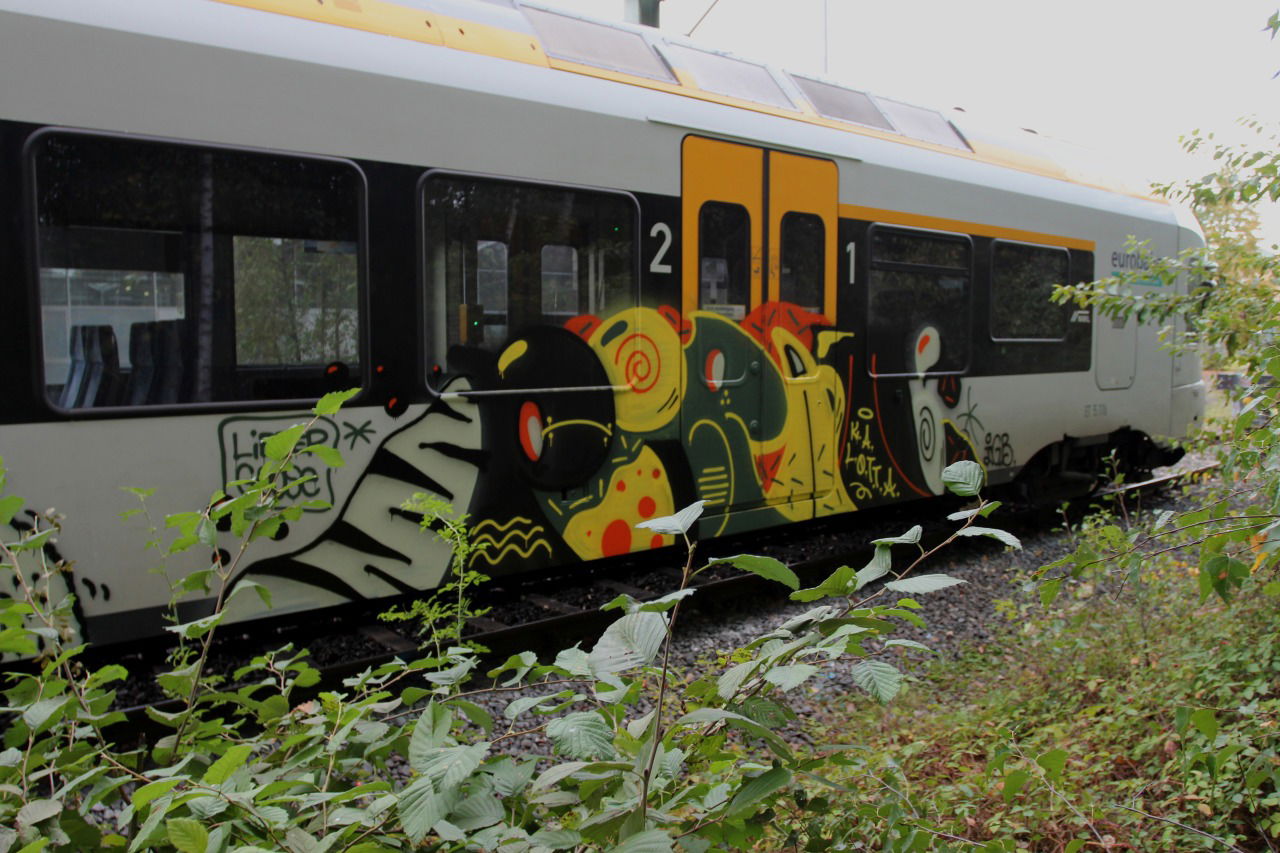 Graffiti Train - Photo by waikiki
