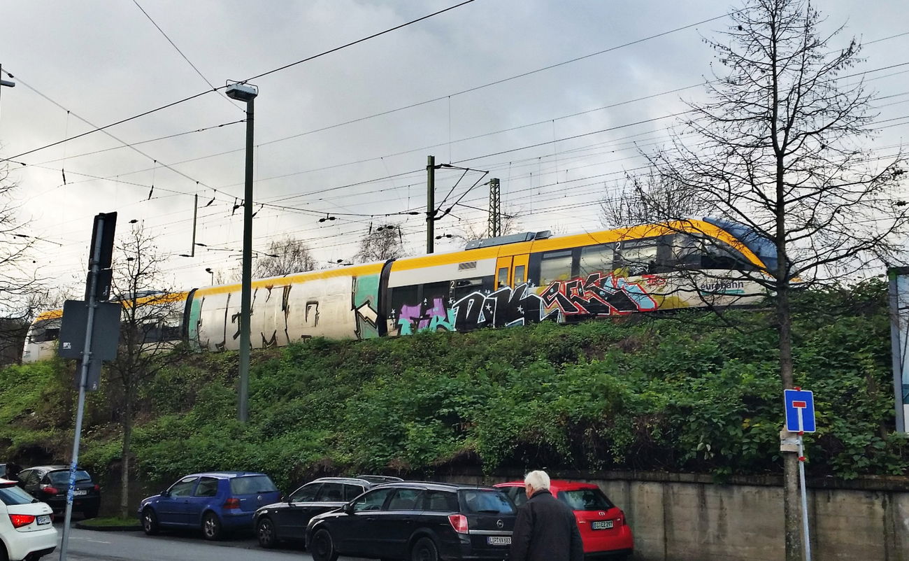 Graffiti Train - Photo by waikiki - temaeker