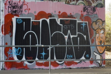 Graffiti Bombing in Köln - Photo by wallsdontlie - busta, train, line