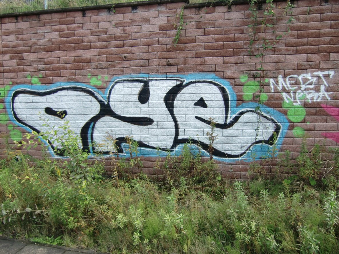 Graffiti Bombing - Photo by walterwhite - oye, offenburg, karlsruhe (2013)