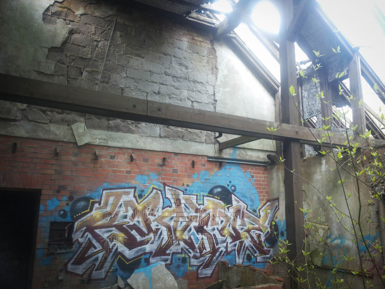 Graffiti Wall - Photo by wastedlife