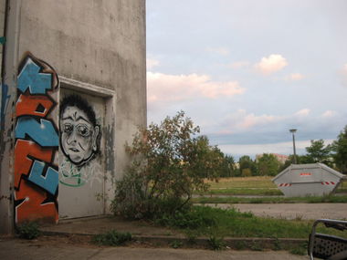 Graffiti Bombing - Photo by wastedlife