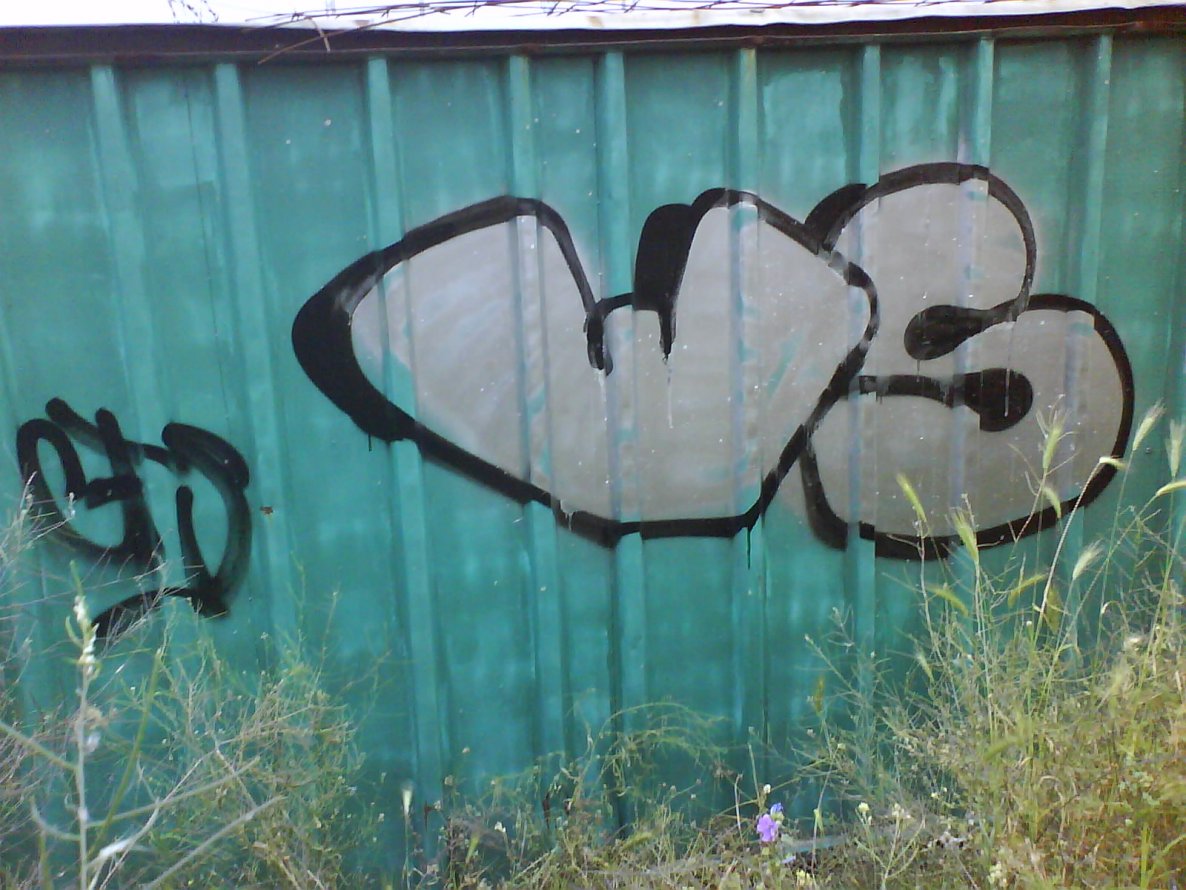 Graffiti Bombing - Photo by wenswens - ws, wens