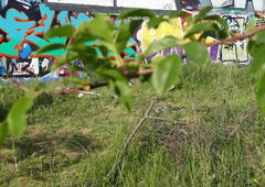 Photo #221431 by 19xllls