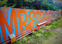 Photo #96649 by Belt