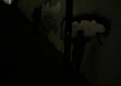 Photo #241344 by MrTaube