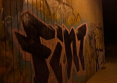 Photo #245839 by TheWallHunter