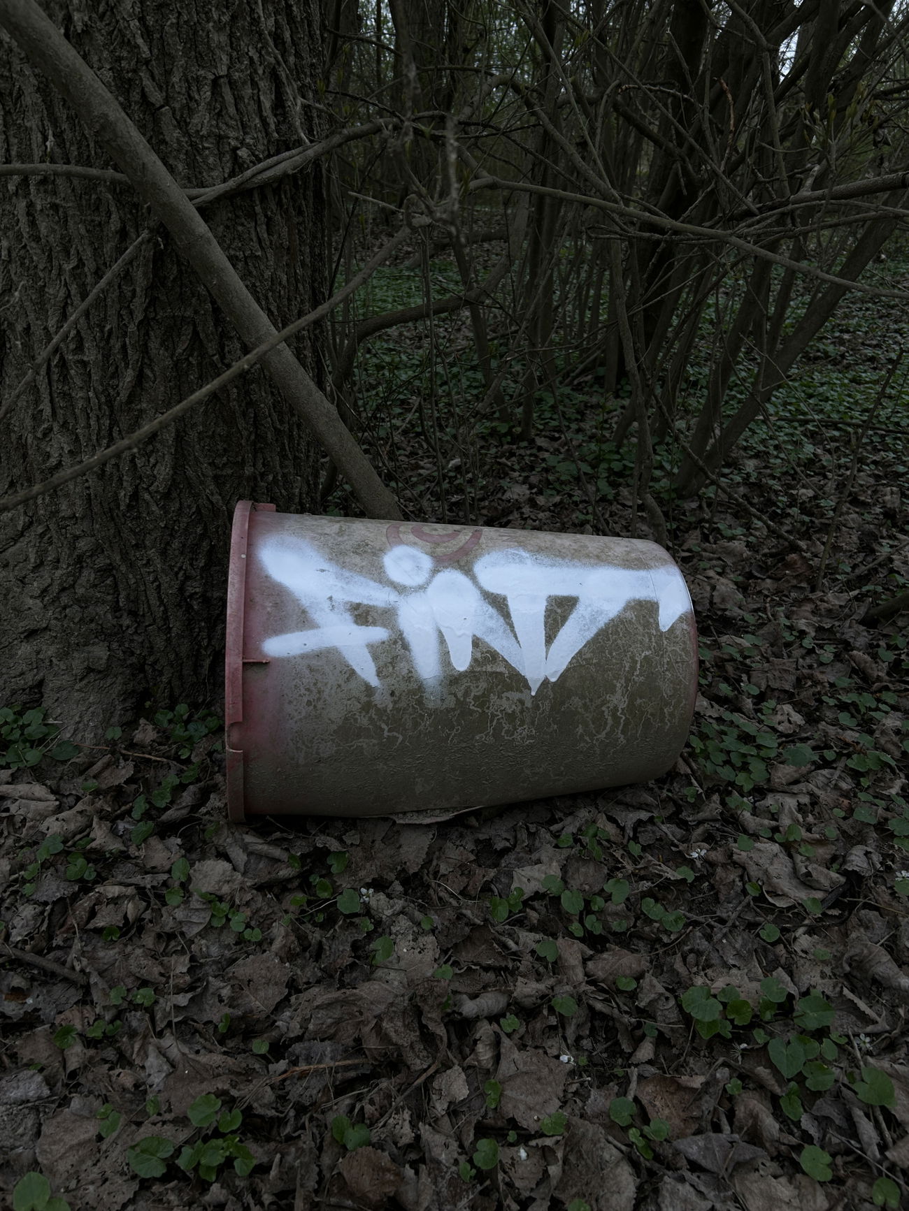 Graffiti Wall - Photo by whonift - fint