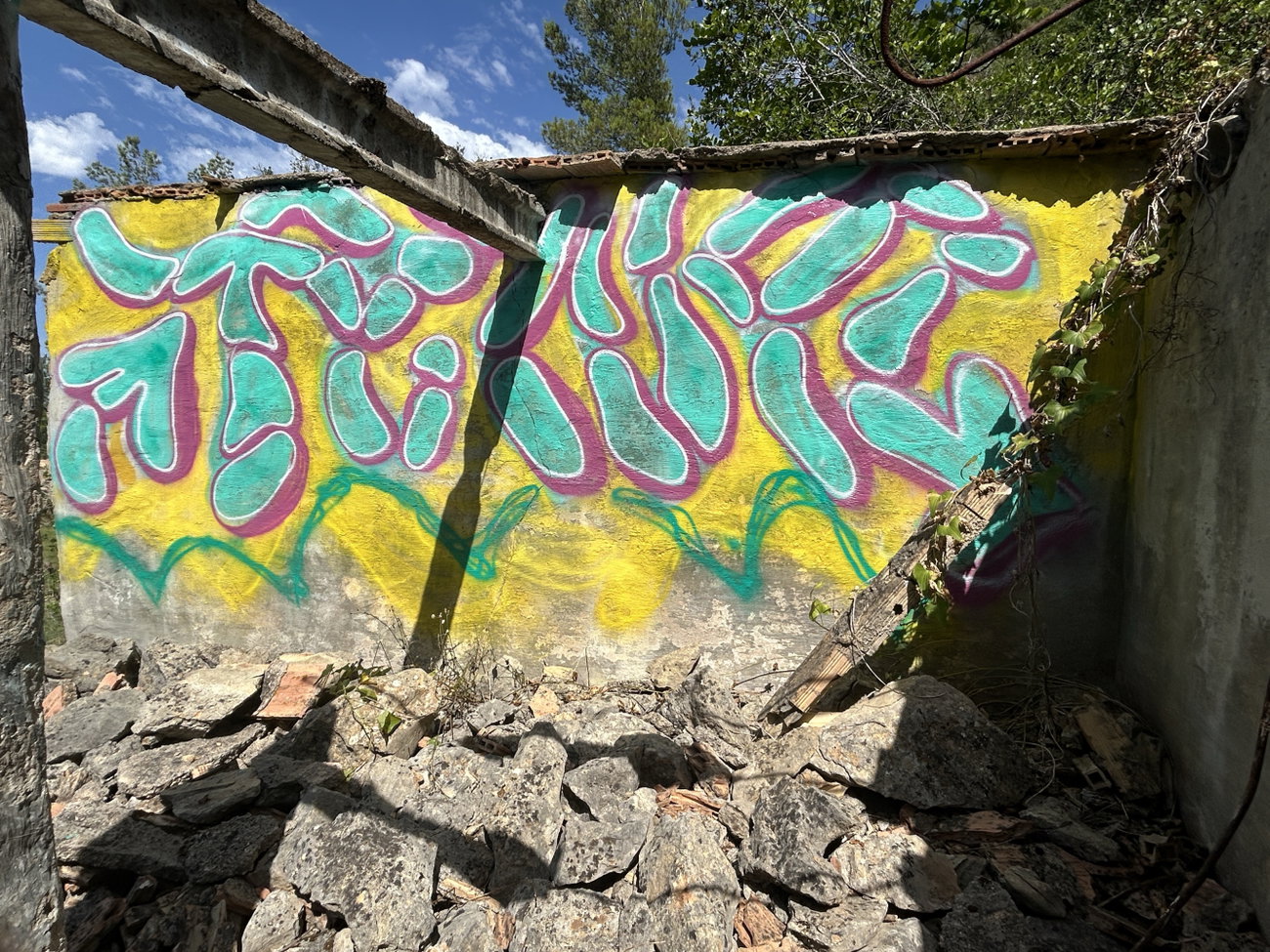 Graffiti Wall in Dénia - Photo by whonift (2026)