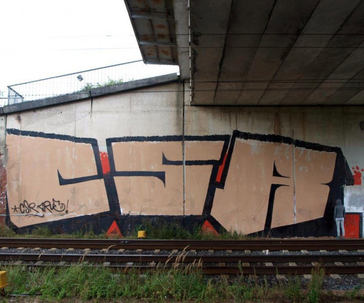 Graffiti Bombing - Photo by whyyou