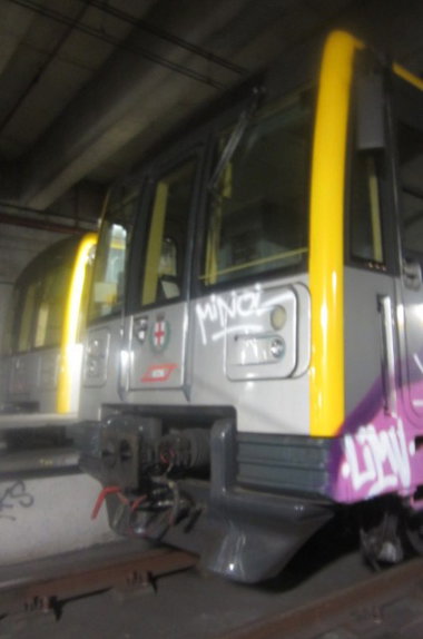 Graffiti Train - Photo by wiewowas