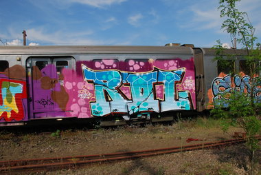 Graffiti Train - Photo by willi - rol