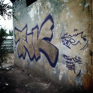 Graffiti Bombing - Photo by wisemann - tnk (2013)