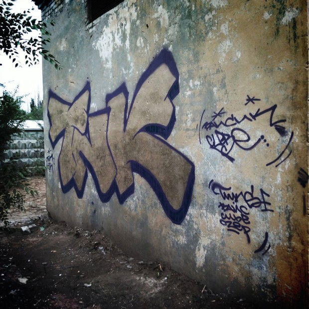 Graffiti Bombing - Photo by wisemann - tnk (2013)