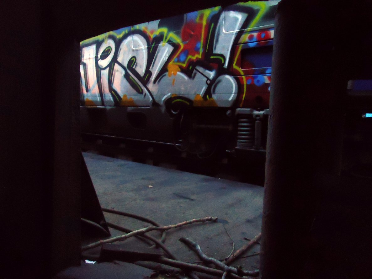 Graffiti Train - Photo by wisl - wisl, dopa