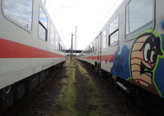 Photo #118131 by Nameless