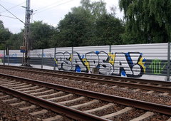 Photo #118132 by Barbonovicerus