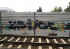 Photo #118133 by Barbonovicerus