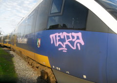 Photo #124027 by Barbonovicerus