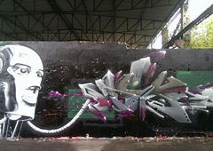 Photo #155766 by TheWallHunter