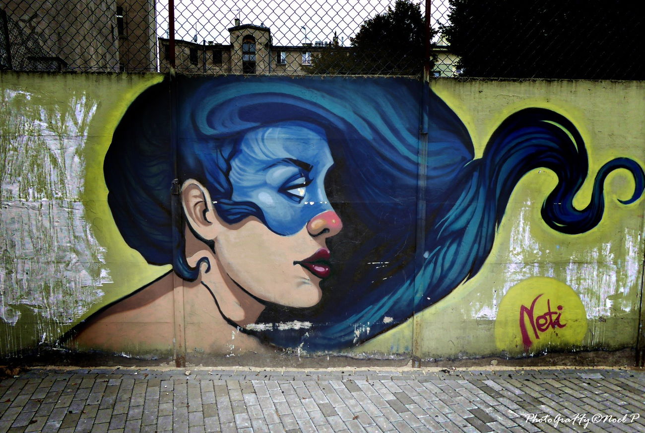 Graffiti Wall in Łódź - Photo by wolf75 - Natalia, Rak (2011)