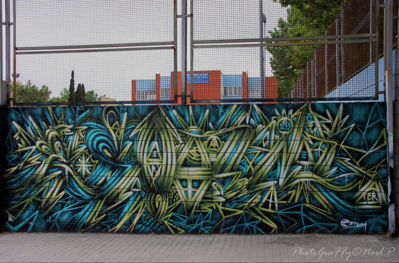Graffiti Wall - Photo by wolf75 - Estum (2012)