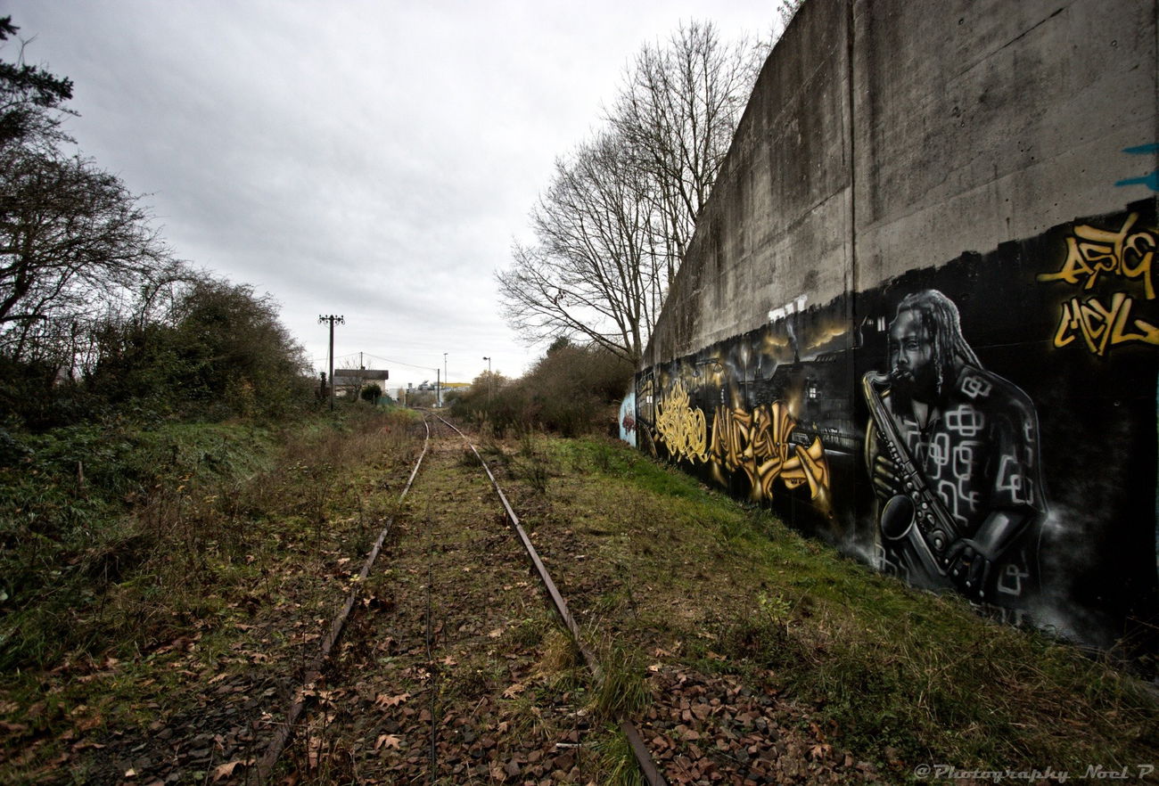 Graffiti Wall in France - Photo by wolf75 - Aste (2015)
