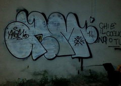 Photo #98291 by Homs