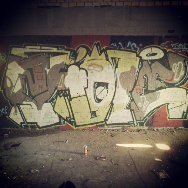 Graffiti Wall - Photo by wsb - shole (2014)