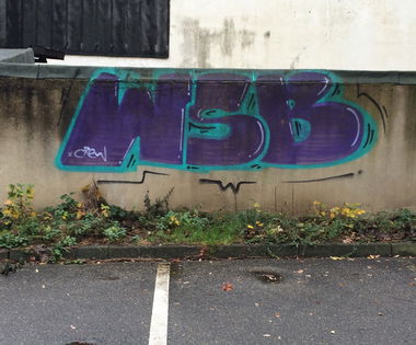 Graffiti Bombing - Photo by wsb (2015)