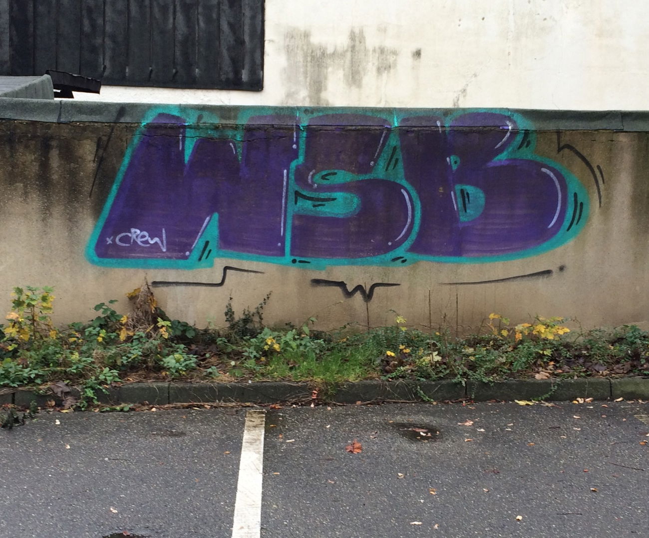 Graffiti Bombing - Photo by wsb (2015)