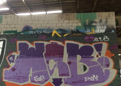 Photo #178408 by TagHagel