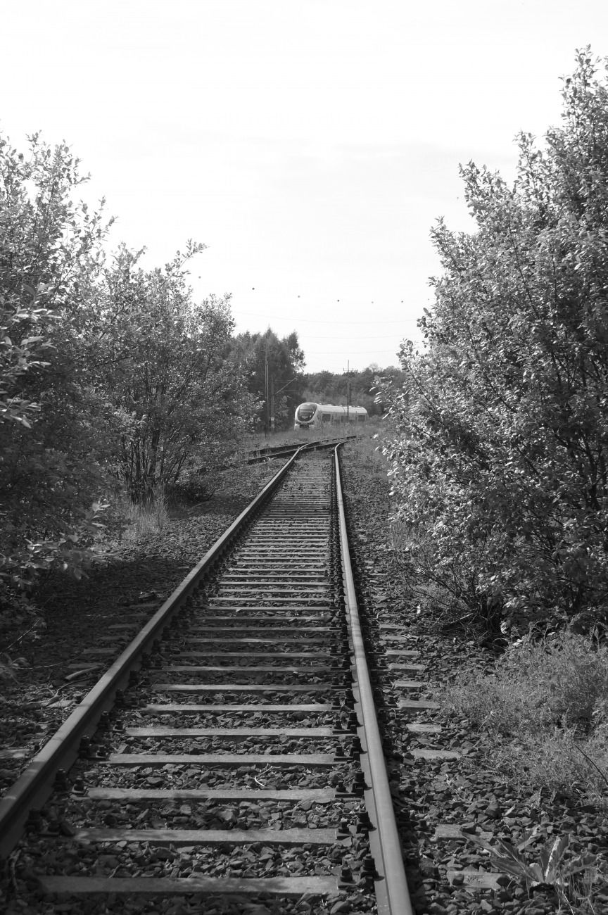 Graffiti Train in Zielona góra - Photo by wypad_z_baru (2015)