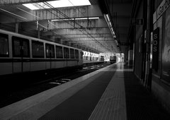 Photo #229245 by TRASK