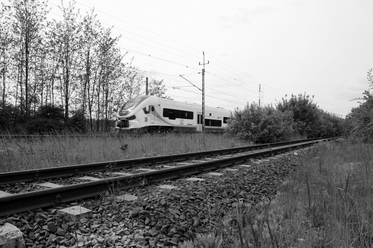 Graffiti Artwork in Zielona góra - Photo by wypad_z_baru (2015)